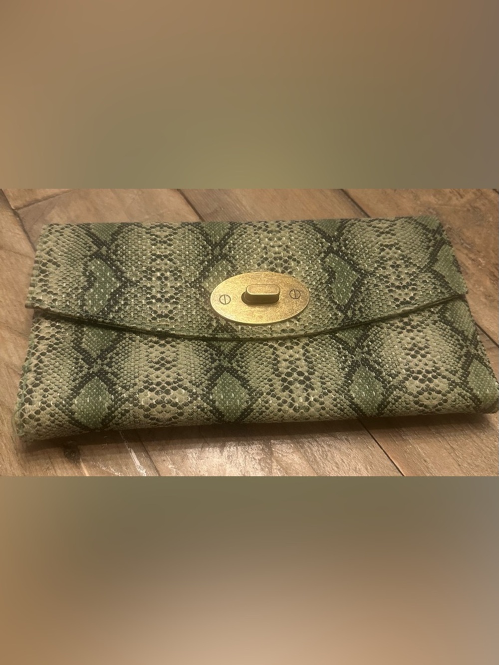 Urban outfitters clutch/ wallet snake skin